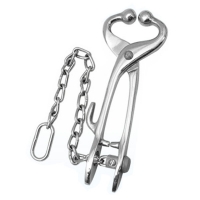 Bull Leader  with Hook And Chain